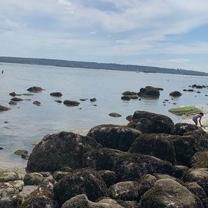 Meet your Posher, Nehms